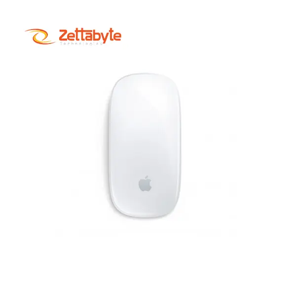 Apple Magic Wireless Mouse 2